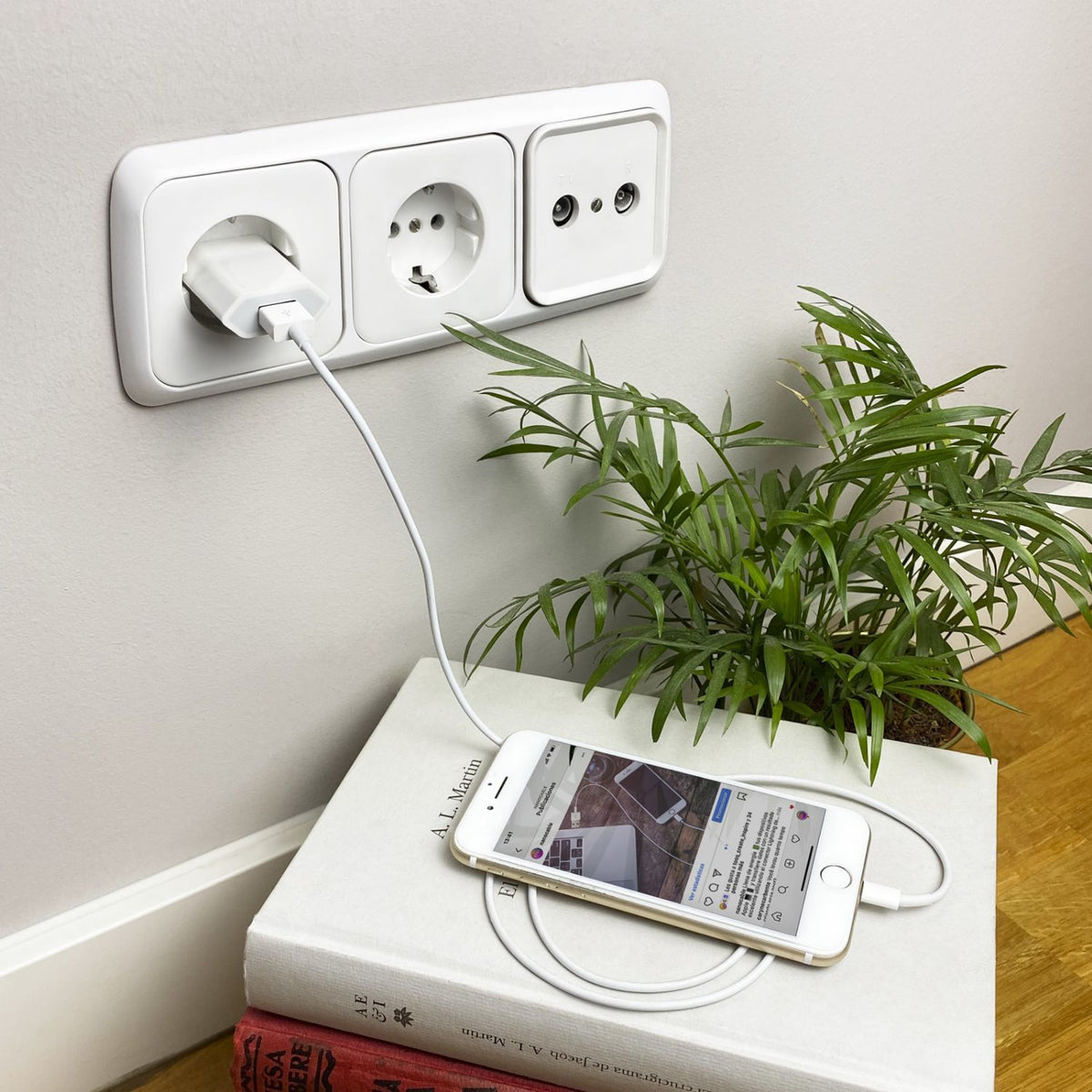 Nanocable Lightning/M a USB-A/M 50cm Blanco(10.10.0400)