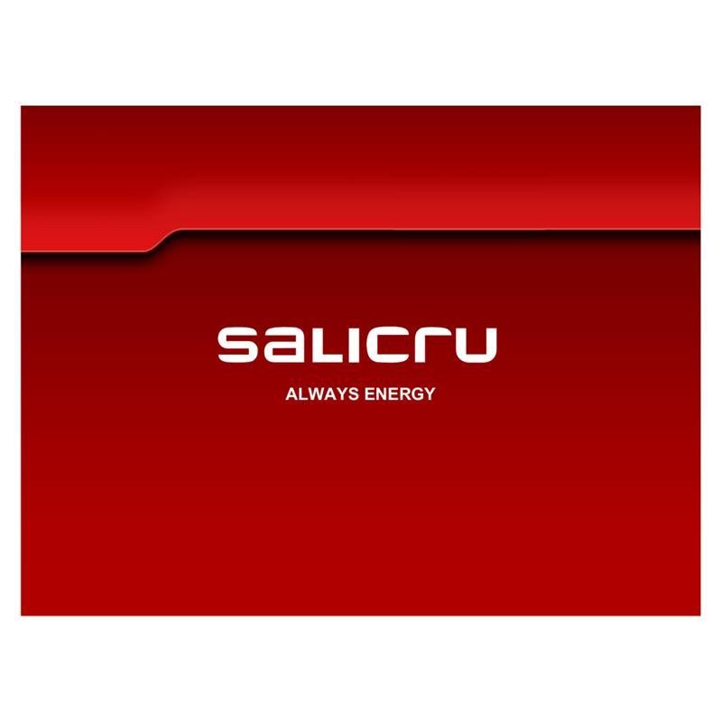 SALICRU INTERNAL SNMP/WEB CARD WEB ADAPTER