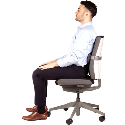 Cojín Lumbar Fellowes I-Spire Series Gris (8042201)