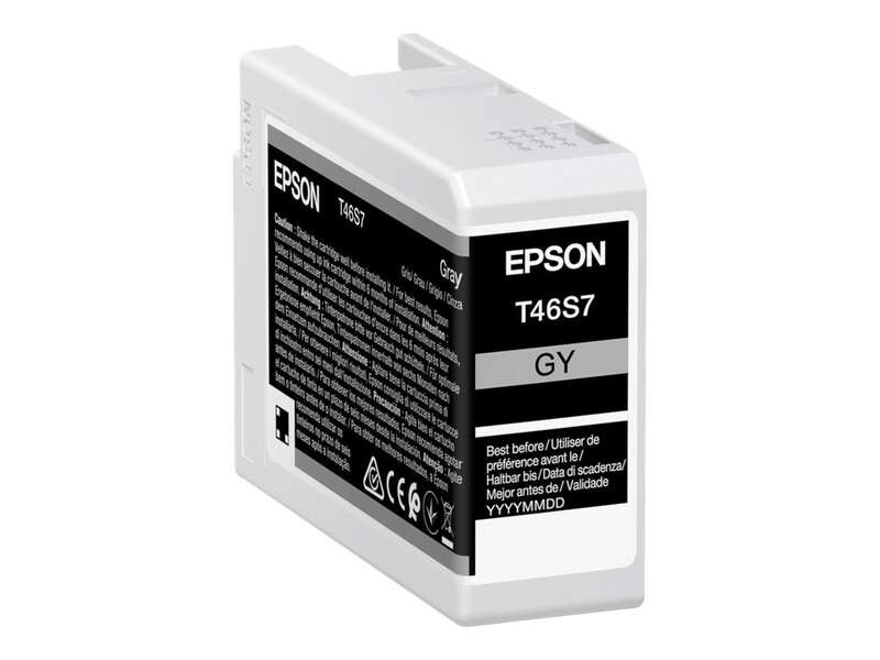 Epson T46S7 Gray Original Ink Cartridge - C13T46S700
