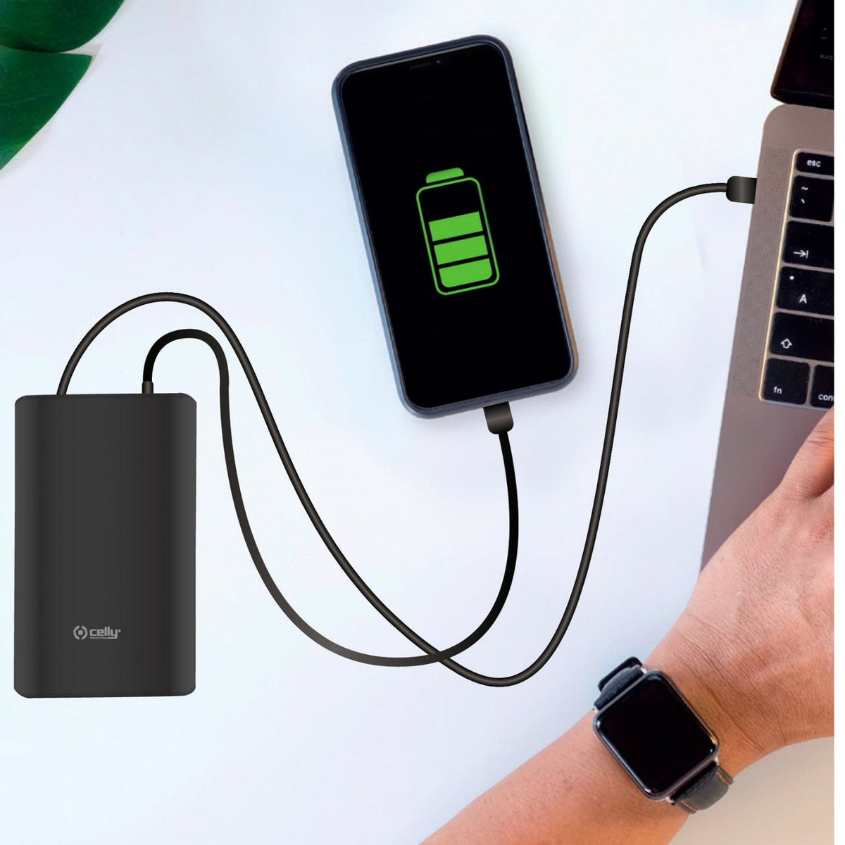 PowerBank CELLY 15000mAh mUSB USB Negro(PBPD45W15000BK)