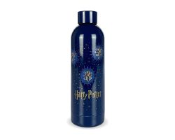 Botella Acero 750ml Harry Potter Azul/Oro (HP91451ASD)