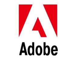 Licencia ADOBE (SPL00000008)