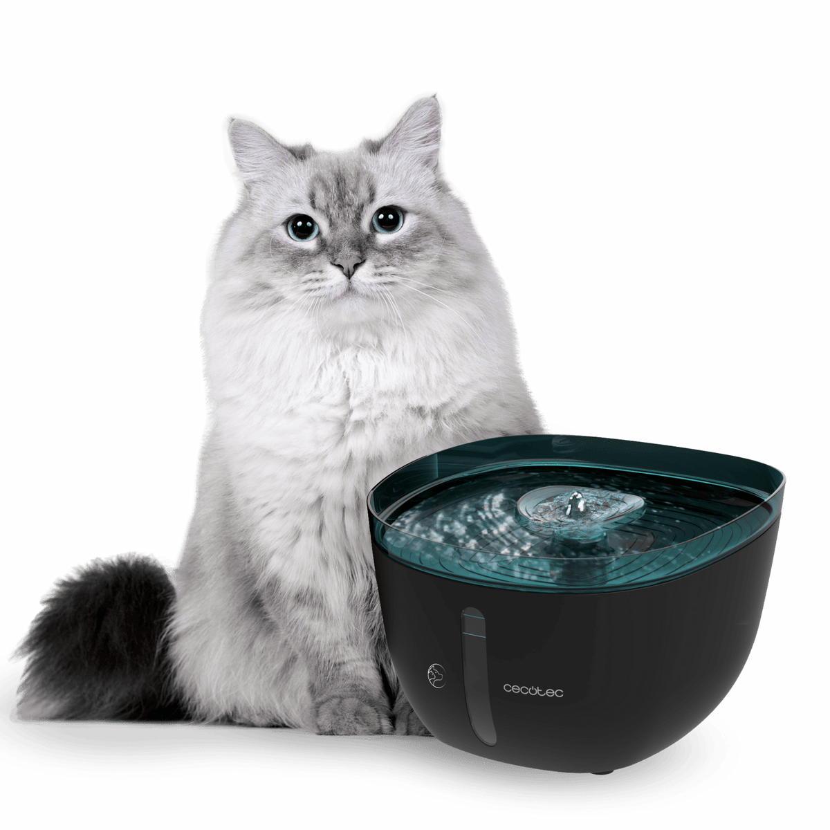 Fuente automática CECOTEC Pumba 2200 Refresh (09561)