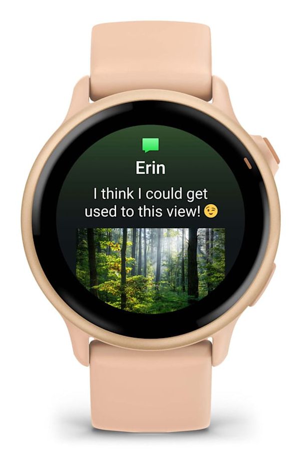 Smartwatch Garmin Vívoactive 6 GPS Rosa (010-02985-03)