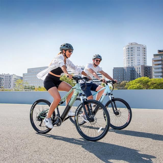 Bicicleta Eléctrica CECOTEC Mountain Millor 27" (07219)
