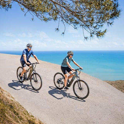 Bicicleta Eléctrica CECOTEC Mountain Avanti 29" (07220)