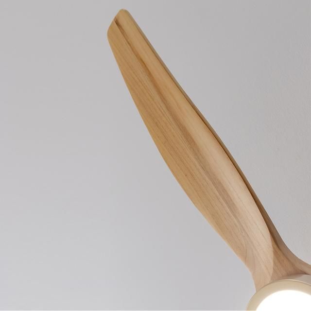 Ventilador Techo CECOTEC EnergySilence Aero LED (08494)
