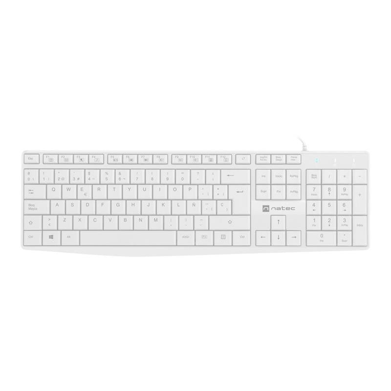 Pack Cepillos Laterales CECOTEC Conga 8090 (91949)