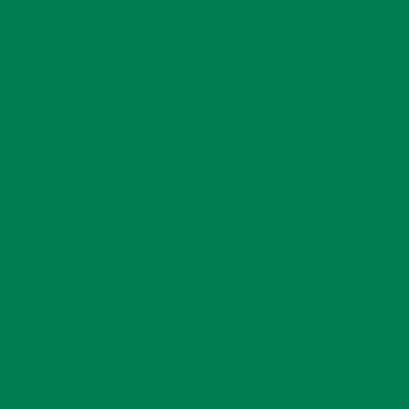 Vinilo Permanente CRICUT 33x91cm Verde (CRC-2011602)