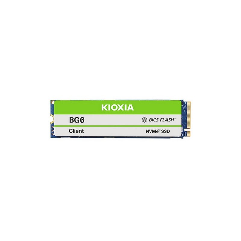 DISCO DURO SSD KIOXIA 256GB M.2 NVME 2280 M2