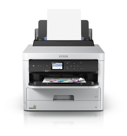 Epson XXL Black Ink (C13T01D100)