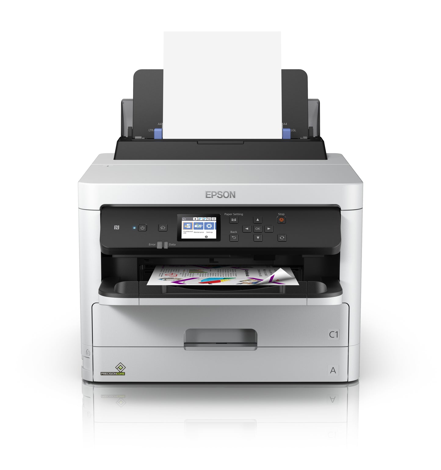 Epson XXL Cyan Ink (CT13T01D200)