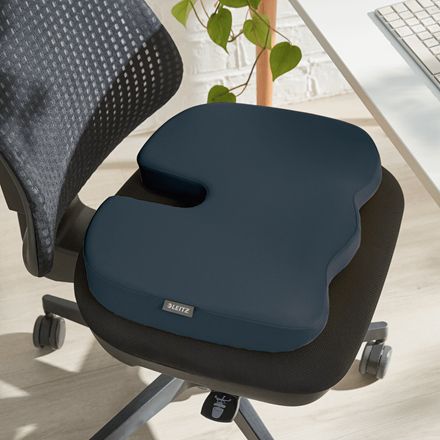 Cojín Leitz Ergo Cosy Gris (5284-00-89)