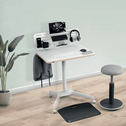 Organizador de Escritorio Leitz 42x25cm (6548-00-00)