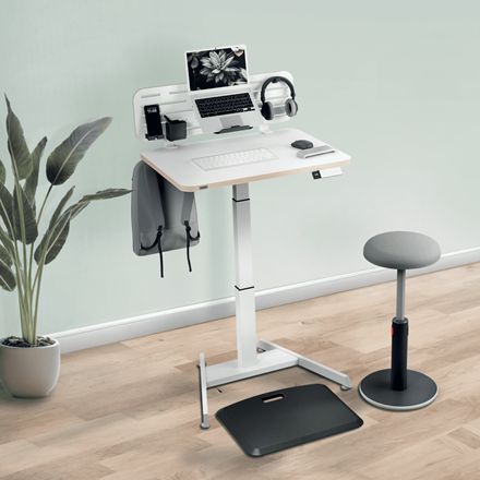 Organizador Escritorio Leitz con Soporte (6549-00-00)