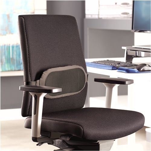 Cojín Lumbar Fellowes I-Spire Series Gris (8042201)