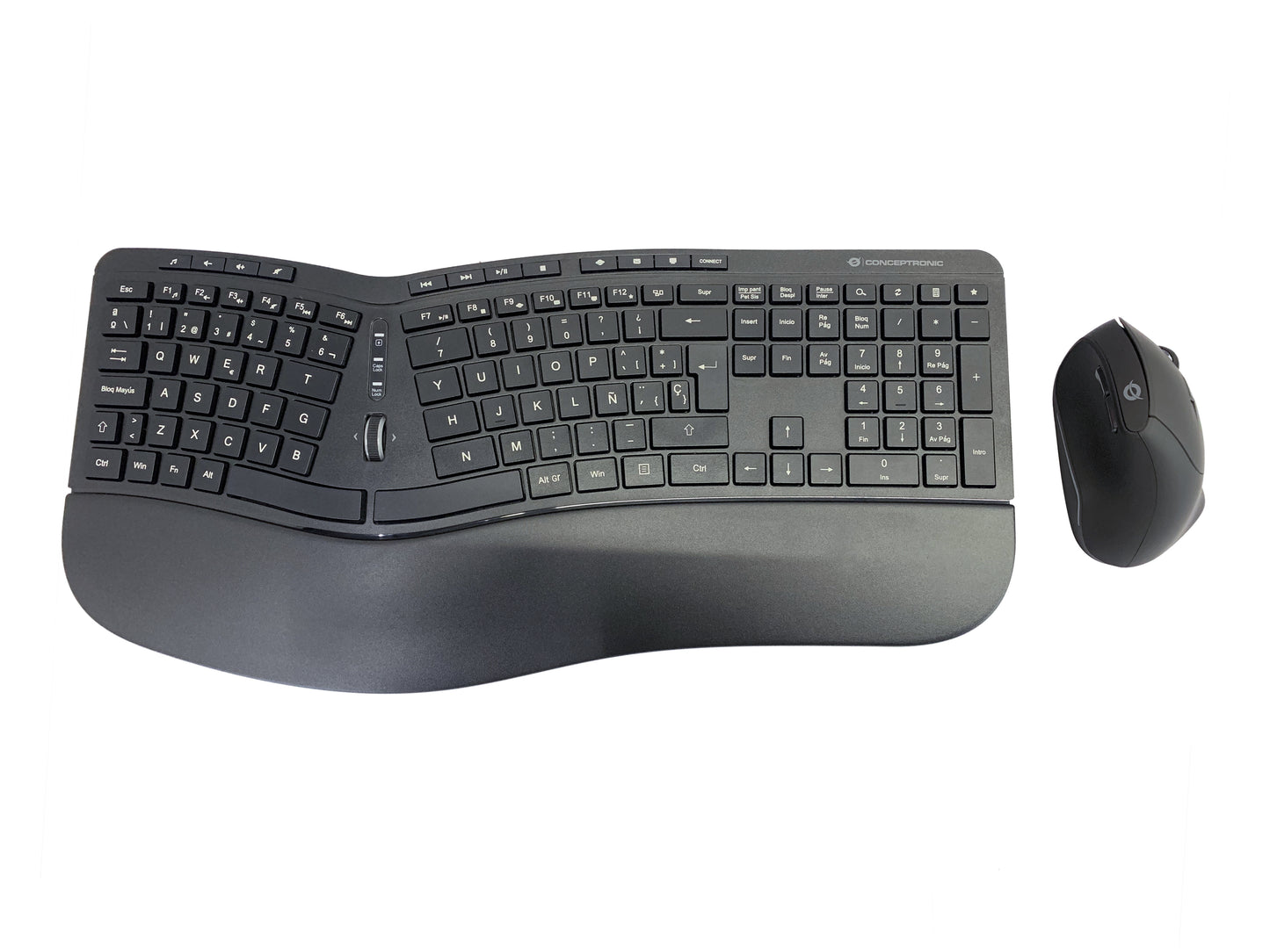 T+CONCEPTRONIC Wireless Ergonomic Mouse (ORAZIO02ES)