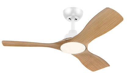 Philips Ceiling Fan with Light White (929004640901)