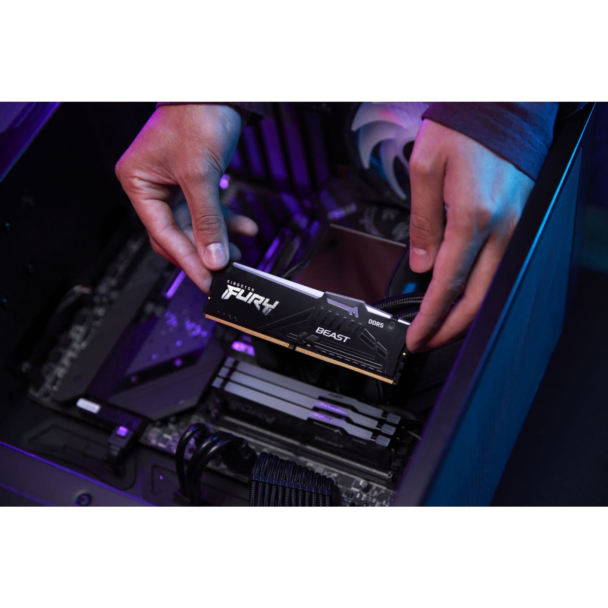 Módulo Kingston DDR5 8Gb 5600Mhz (KF556C36BBEA-8)