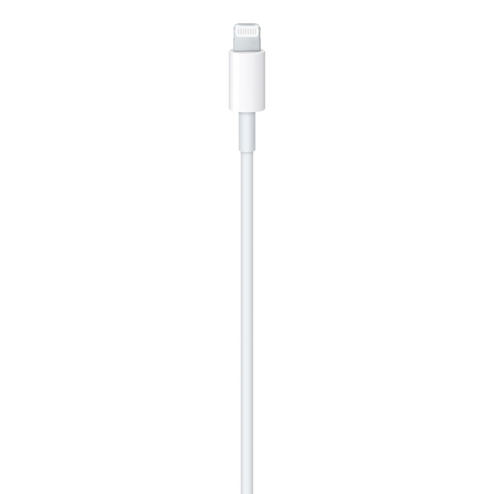 Cable Apple USB-C/M a Lightning/M 1m Blanco (MUQ93ZM/A)
