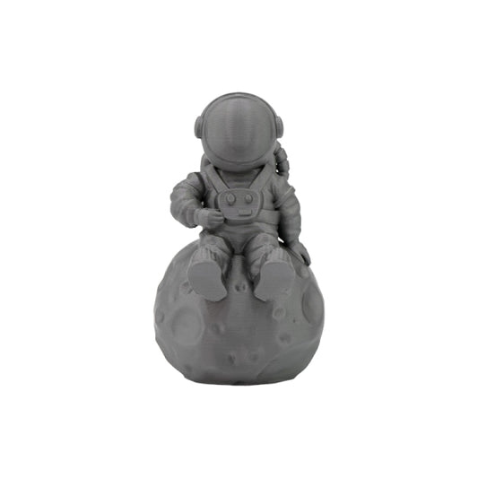 Filamento 3D PLA - Diametro 1.75mm - Bobina 1kg - Color Plata