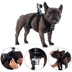 Accesorio camara deportiva fetch dog harness compatible con gopro fusion, max, hero 2018, hero 5, 6, 7, 8, 9, 10, 11 y 12.