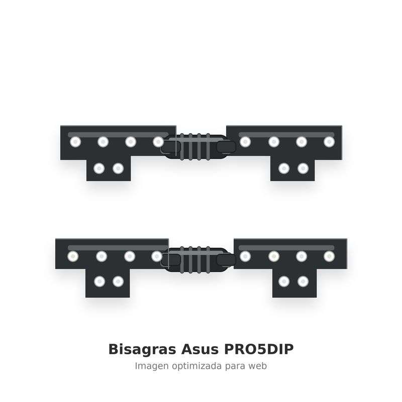 Bisagras Asus PRO5DIP