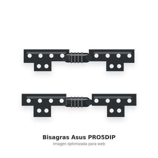 Bisagras Asus PRO5DIP