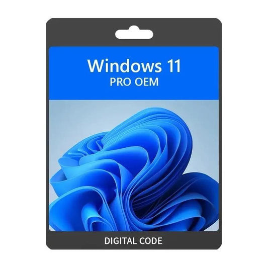 WINDOWS 11 PROFESSIONAL 64 BITS