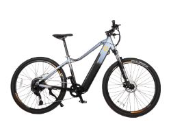 Bicicleta Eléctrica CECOTEC Mountain Avanti 29" (07220)