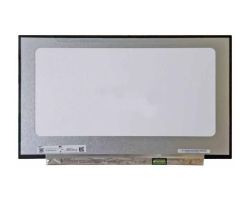 Pantalla LCD AUO 17.3" LED FullHD (B173HAN04.2)
