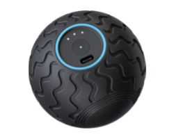 Pelota de Masaje Therabody Theragun Negra (WAVESOLO-EU)