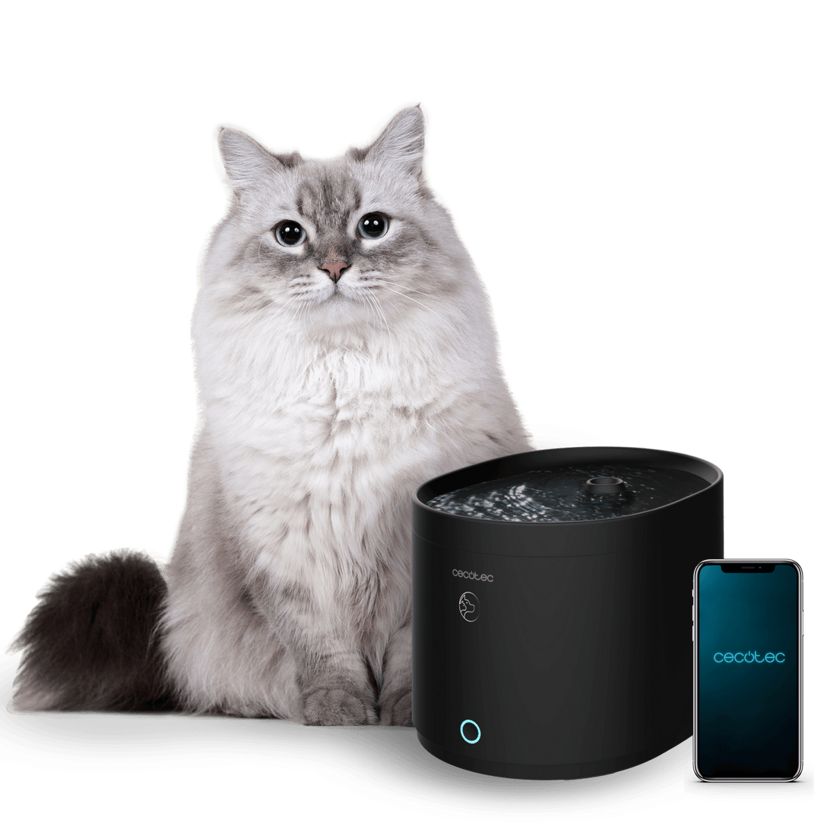 Fuente de Agua CECOTEC Pumba 2500 Mascotas 2.5L (09563)